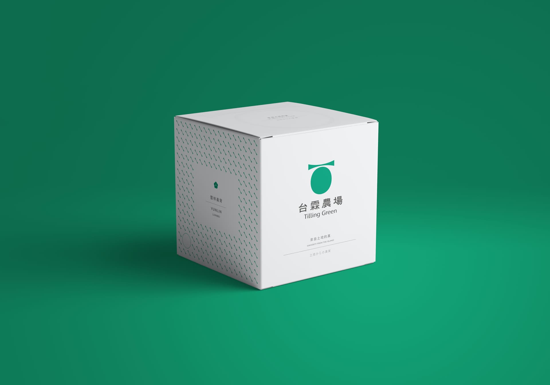 an_Vision Design | 品牌形象,視覺設計,包裝設計,網站製作,動畫影像