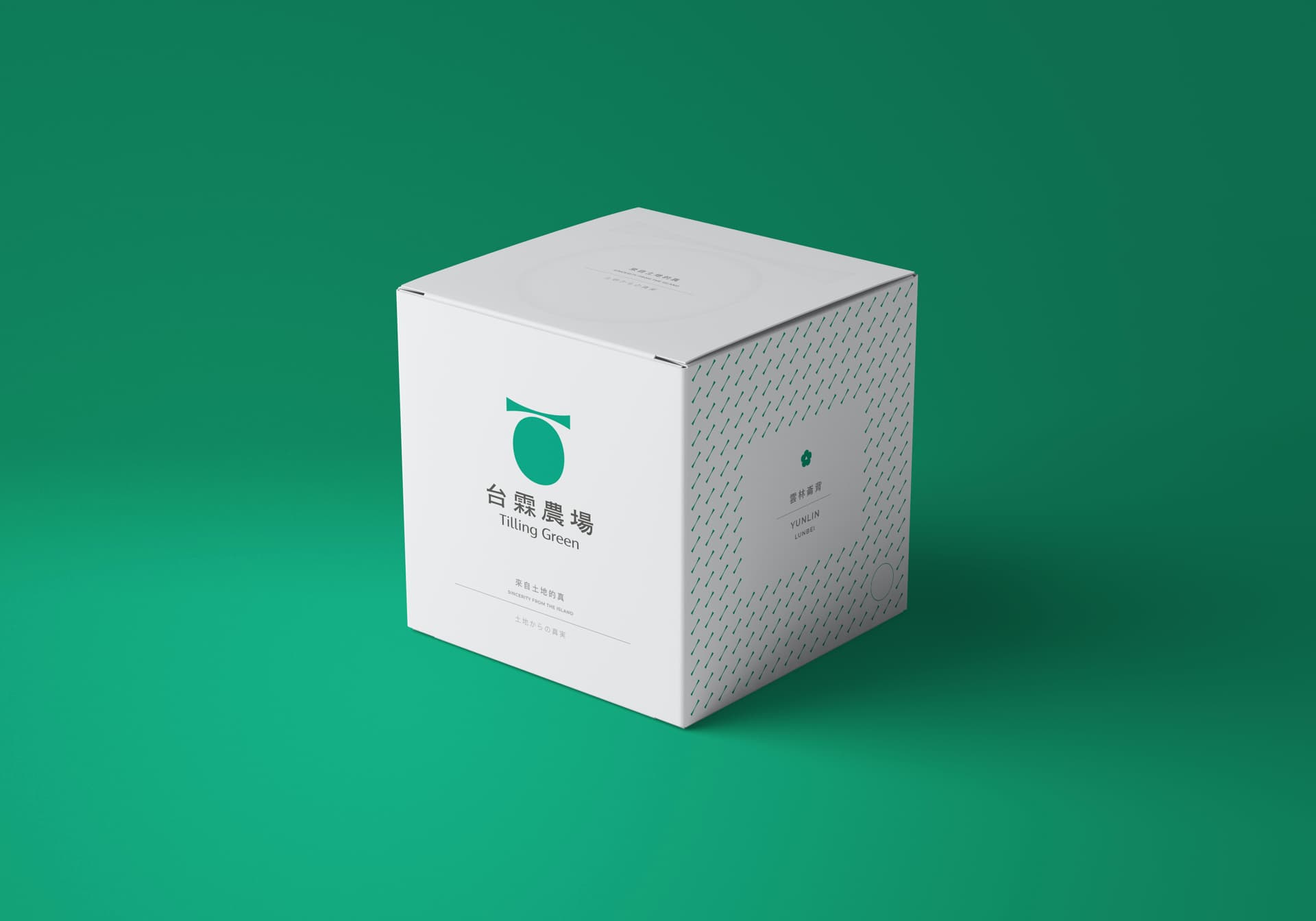  an_Vision Design | 品牌形象,視覺設計,包裝設計,網站製作,動畫影像